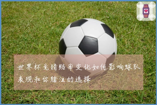 世界杯竞猜赔率变化如何影响球队表现和你赌注的选择
