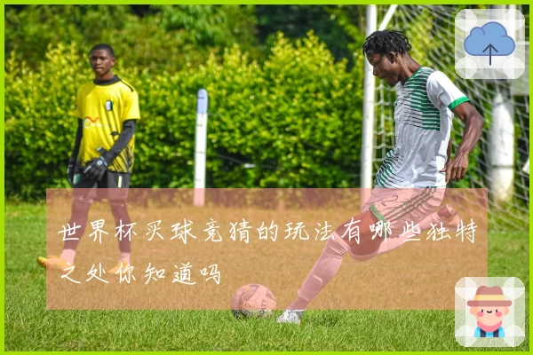 世界杯买球竞猜的玩法有哪些独特之处你知道吗
