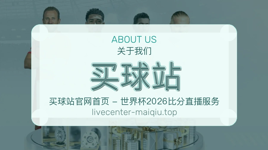 关于 买球站 团队与服务